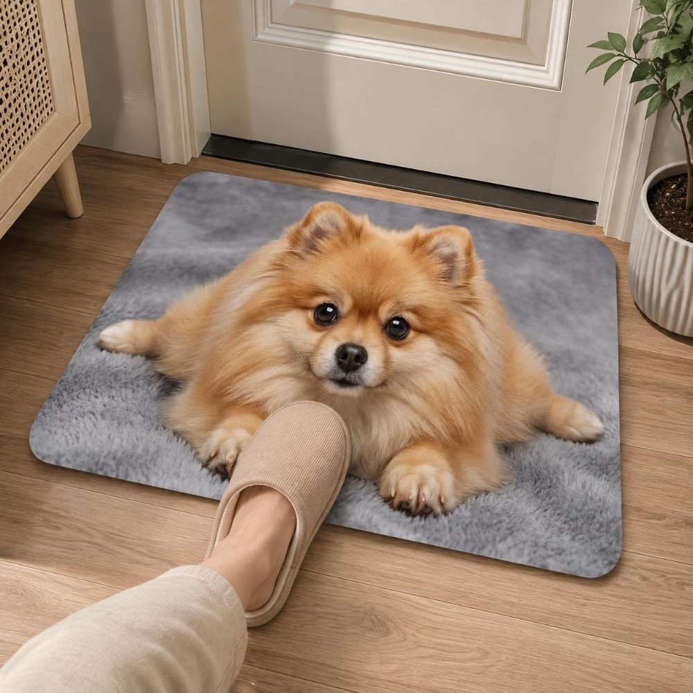 Durable Diatomite Dog Pattern  - đánh giá và giá Quick Dry Diatomite Bath Mat